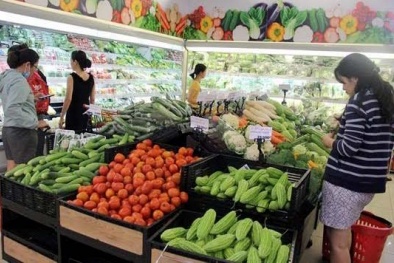 Chuẩn hóa hoạt động truy xuất nguồn gốc hàng hóa