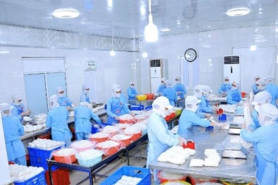 Cơ sở Ba Khánh thay đổi về cải tiến qua thực hành LEAN