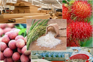 Nhìn lại điểm nhấn hoạt động xuất khẩu nông lâm thủy sản trong năm 2020