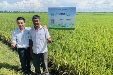 Công nghệ đột phá giúp nâng tầm gạo Việt