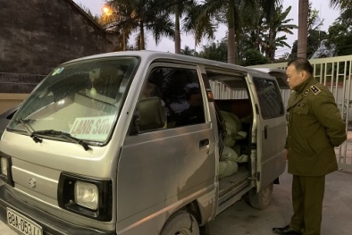 Nhập lậu hàng hóa: Chặn đứng hành vi vận chuyển dược liệu độc hoạt và hàng gia dụng vi phạm