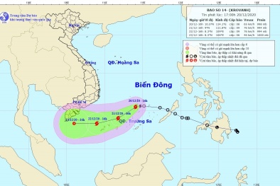 Petrovietnam chủ động ứng phó với cơn bão số 14