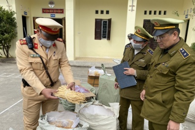 Ngăn chặn hơn một tấn dược liệu nhập lậu định tuồn về Hà Nội