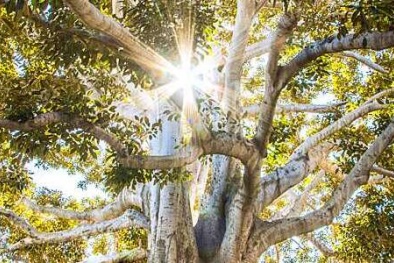 Ngăn chặn khí thải, xanh sạch và thân thiện môi trường với loạt tiêu chuẩn ISO