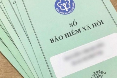 [Infographic] Quỹ BHXH được quản lý như thế nào?