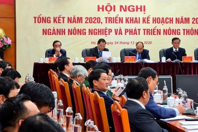 Ngành nông nghiệp tiếp tục khẳng định là bệ đỡ, cứu cánh của nền kinh tế trong bối cảnh dịch Covid-19