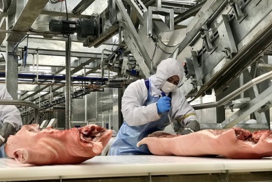 Giá thịt lợn dịp Tết Nguyên đán sẽ tăng mạnh?