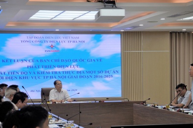 Ban Chỉ đạo Quốc gia về phát triển điện lực rà soát tiến độ và kiểm tra thực địa một số dự án lưới điện tại EVNHANOI