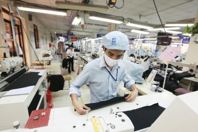 Xây dựng 468 mô hình điểm năng suất chất lượng trong doanh nghiệp