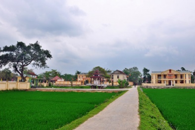 Giai đoạn 2021-2025, tiếp tục xây dựng Nông thôn mới theo hướng toàn diện, bền vững