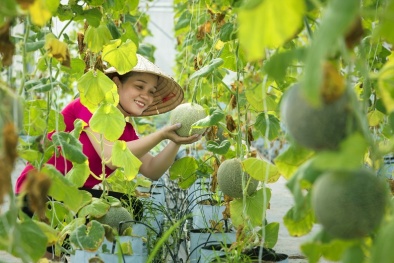 Nông nghiệp hữu cơ - xu hướng giúp nâng cao chất lượng sản phẩm