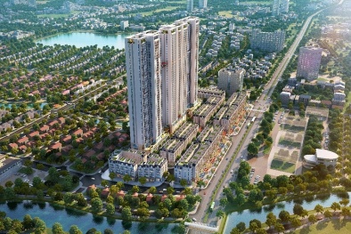 The Terra - An Hưng: Dự án giao dịch sôi động nhất phía Tây Hà Nội năm 2020