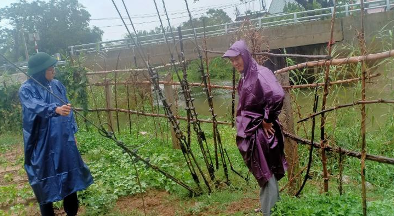 MobiFone ứng phó cơn bão số 5 tại Trung Bộ 