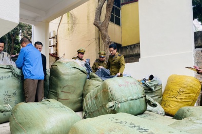 Nhập lậu hàng hóa: Chặn đứng lượng lớn quần áo may sẵn, đầu đĩa nhạc đang trên đường tiêu thụ
