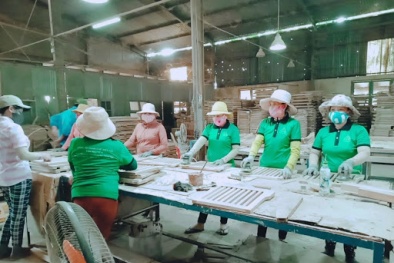 Mô hình nhóm huấn luyện (TWI): Thành công từ 30 doanh nghiệp thí điểm