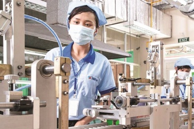 Chất lượng sản phẩm – yếu tố then chốt giúp xuất khẩu tăng trưởng bền vững