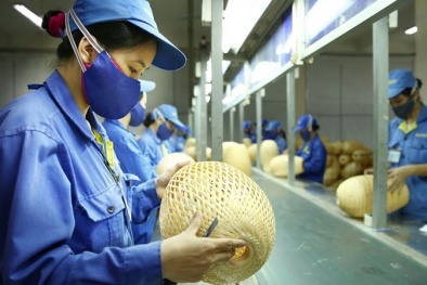 Ứng dụng công nghệ, nâng cao chất lượng sản phẩm các doanh nghiệp nhỏ và vừa