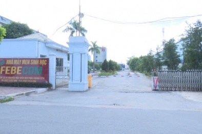 Đội lốt thức ăn để sản xuất rượu, công ty cổ phần Febecom bị phạt 350 triệu đồng