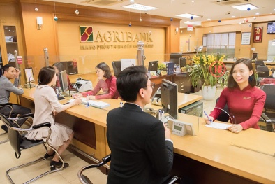 Agribank- Nhiều giải pháp hỗ trợ nền kinh tế, tăng khả năng tiếp cận dịch vụ ngân hàng cho người dân 