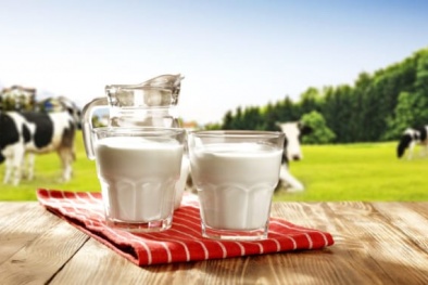Bảy đơn vị được xuất khẩu sữa vào thị trường Trung Quốc