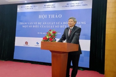 Tham vấn các bên liên quan về dự án Luật sửa đổi, bổ sung một số điều của Luật Sở hữu trí tuệ