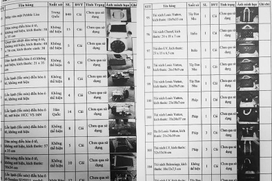 Công ty TNHH An Bình xuất nhập khẩu Hà Nội đã ẩn lậu thuế hơn 10 tỷ đồng, vi phạm hàng hóa như thế nào?