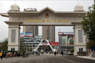 Việt Nam nhập siêu từ Trung Quốc 35,2 tỷ USD trong năm 2020