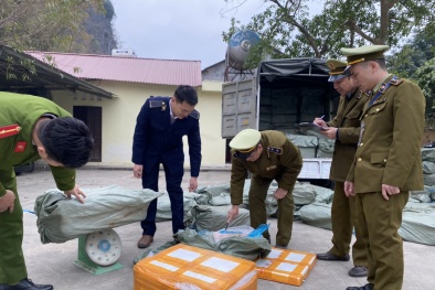 Nhập lậu hàng hóa: Vận chuyển 2 tấn nầm lợn đã mục rữa, bốc mùi hôi thối đi tiêu thụ