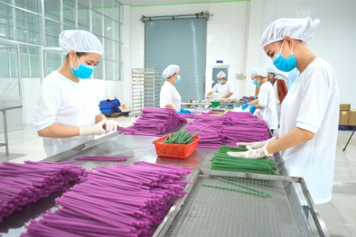 Ống hút làm từ bột gạo, bột sắn của Việt Nam đắt khách tại châu Âu
