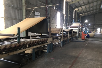 Năng suất xanh - giải pháp giảm chi phí, thân thiện với môi trường