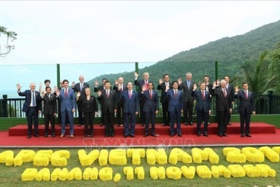 Vai trò, vị thế Việt Nam - Nhìn từ nhiệm kỳ Đại hội XII: Bài 1 - Đưa các quan hệ hợp tác đi vào chiều sâu, hiệu quả