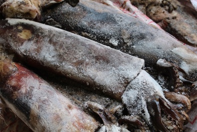 Mực ống đông lạnh đã bốc mùi hôi thối vẫn cố tình nhập lậu về tiêu thụ