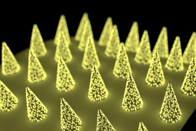 Miếng dán microneedle giúp phát hiện kháng thể COVID-19