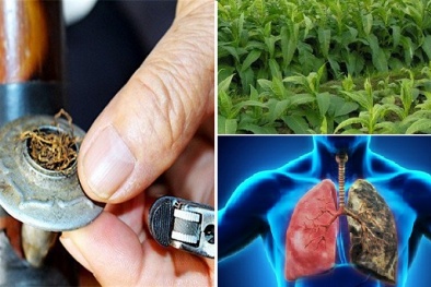 Co giật toàn thân, mất ý thức sau khi hút thuốc lào