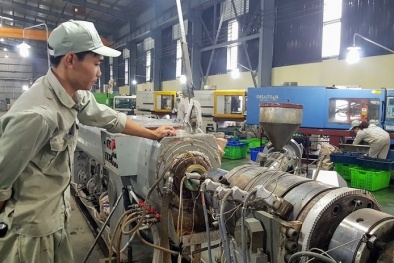 Bài học quý giá về phát triển bền vững nhìn từ đại dịch Covid-19 