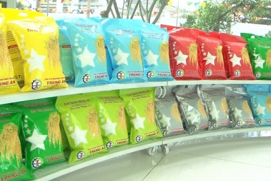 Nâng cao chất lượng giúp gạo Việt tự tin chinh phục thị trường thế giới