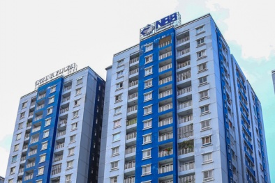 Vì sao công ty Năm Bảy Bảy bị phạt 44 tỷ đồng?