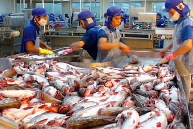 Campuchia dừng nhập khẩu 4 loại cá da trơn của Việt Nam: Bộ Công Thương nói gì?