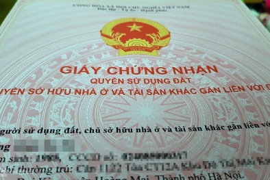 Những chính sách nổi bật có hiệu lực từ tháng 2