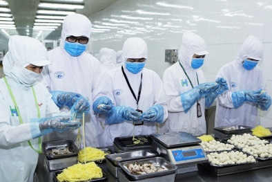 Tháng 01/2021: Doanh nghiệp thành lập mới khởi sắc cả về số lượng và vốn đăng ký