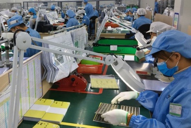 Doanh nghiệp ngày càng tin tưởng vào môi trường thương mại và đầu tư của Việt Nam