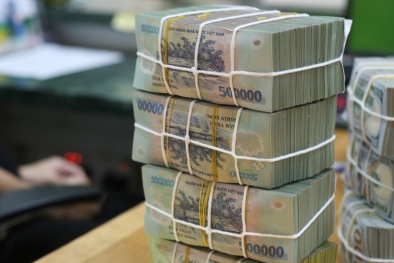 Tháng 01/2021: Thu về trên 2 tỷ đồng từ thoái vốn nhà nước