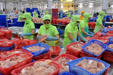 Campuchia hủy bỏ lệnh cấm nhập khẩu cá da trơn từ Việt Nam