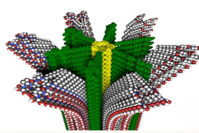 Chế tạo vật liệu mềm và đàn hồi như mô người nhờ công nghệ 3D