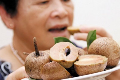 Tránh lạm dụng ăn nhiều quả hồng xiêm vì dễ gây tác hại 
