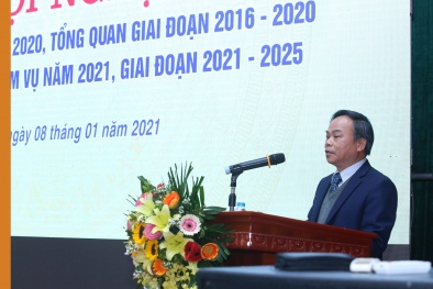 Hoạt động quản lý nhà nước về TCĐLCL giai đoạn 2016-2020: Bức tranh nhiều điểm sáng