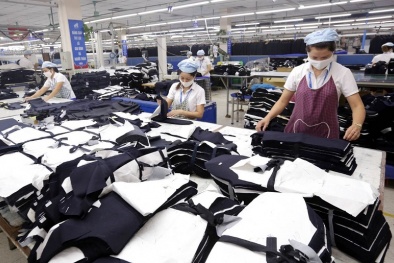 Chiến lược phát triển bền vững ngành dệt may Việt Nam