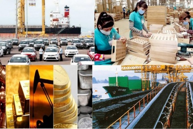 Nâng cao năng suất, chất lượng và năng lực cạnh tranh trên nền tảng công nghệ số