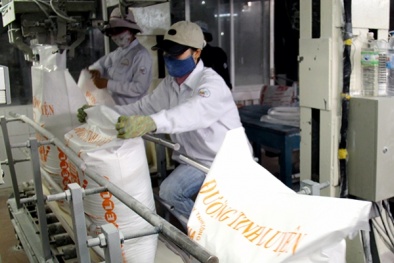 Cơ hội mở rộng cho ngành mía đường 