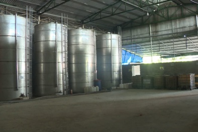 Nhiều vụ xăng giả lớn bị phát hiện, xăng lậu tràn lan: Bộ Công an vào cuộc 'siết chặt'